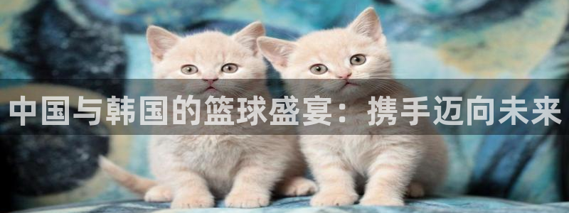 意昂体育app正版下载官网:中国与韩国的篮球盛宴:携手迈向未