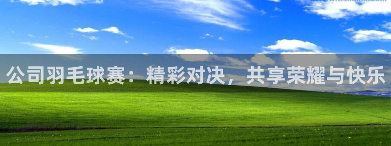 意昂体育app官方网站入口下载:公司羽毛球赛:精彩对决,共享