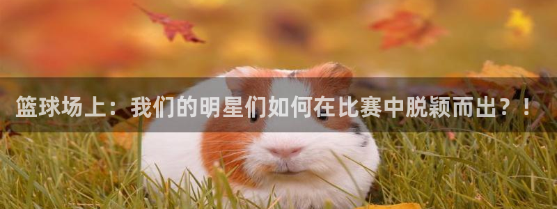 意昂官网注册平台:篮球场上:我们的明星们如何在比赛中脱颖而出